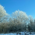 frost3