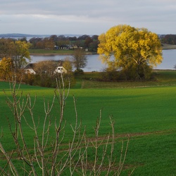 Fotoudfordring: Mølle, maj 2021