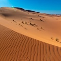 Sahara02-