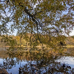 Udstillingsgalleri 