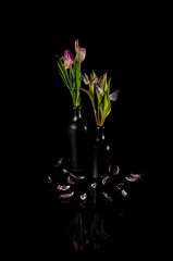 Fruens blomster