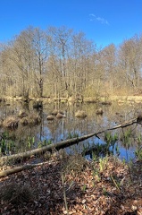 IJ Skovsøen